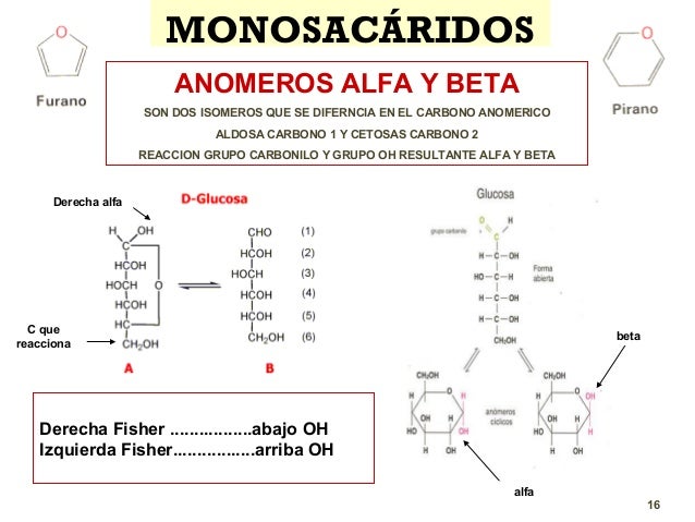 anomeros alfa y beta